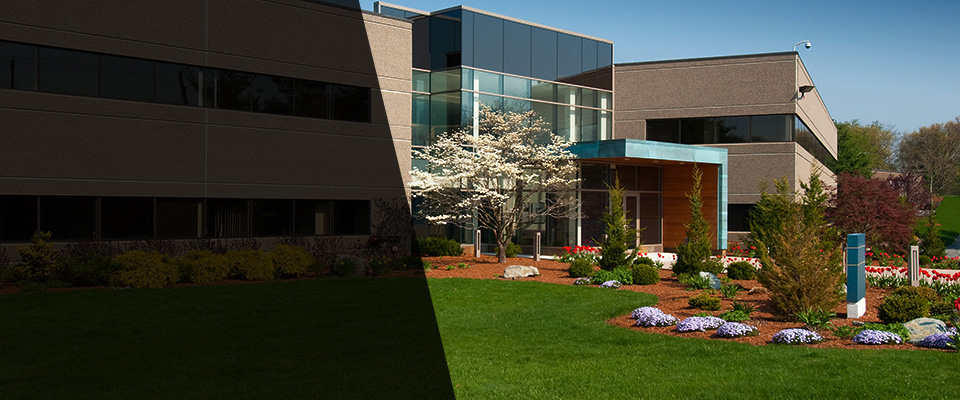 Walnut Cove Landscapers