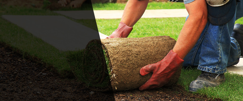 Walnut Cove Landscapers